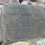 SDC11569