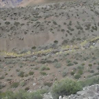 SDC11556
