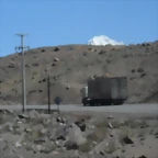 SDC11619