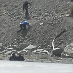 SDC11712
