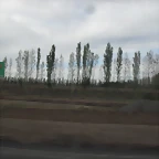 SDC11731