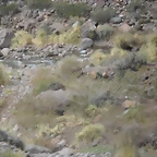 SDC11558