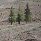 SDC11632