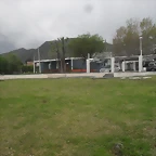 SDC11768