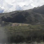 SDC11452