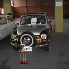 SDC11365