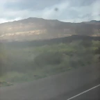 SDC11447