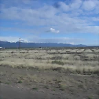 SDC11426