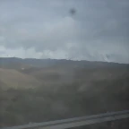 SDC11448