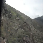 SDC11496