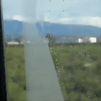 SDC11428
