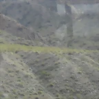 SDC11492