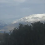 SDC11417
