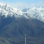 SDC11431