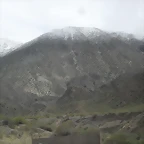 SDC11497