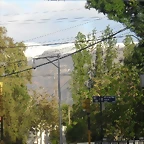 SDC11411