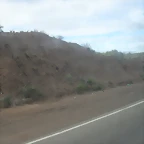 SDC11437