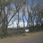 SDC11520