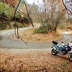 DSCN3130