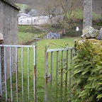 DSCN2800