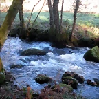 DSCN2083