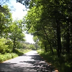 DSCN5401