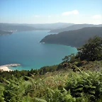 DSCN6801