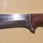 puma arcos