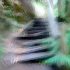 P1010216