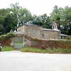 DSCN4326