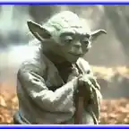 yoda