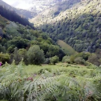 DSCN9230