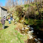 DSCN4527