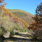 DSCN6853
