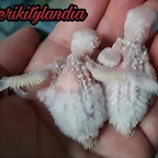 FB_IMG_1498551161006