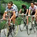 STEFANO GIULIANI GIRO1985,HINAULT,NAVARRO