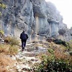 DSCN6536