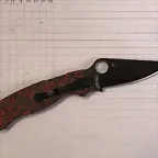 Paramilitary2