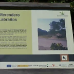 P1070169