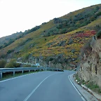 DSCN6544