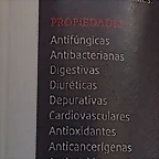 IMAG1740