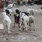 Image00026