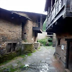 DSCN5236