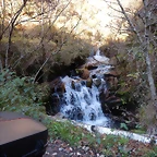DSCN9141