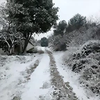IMG-20180228-WA0018