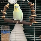 IMG_006747
