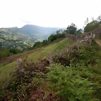 DSCN0538