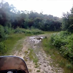 DSCN7622