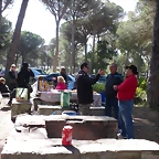 ARROZ 2013 014