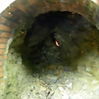 DSCN4586